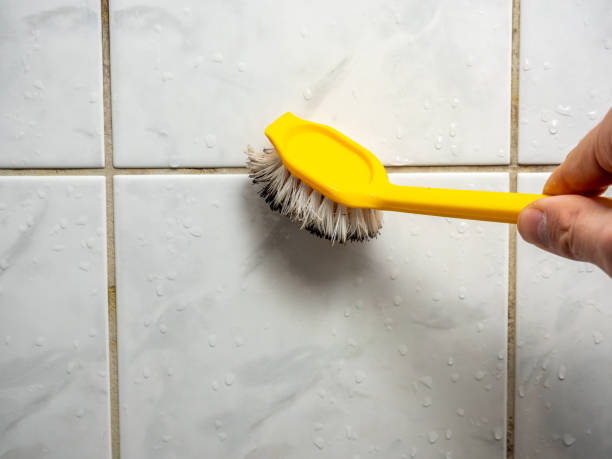 Best Mold Removal Near Me  in Heeia, HI