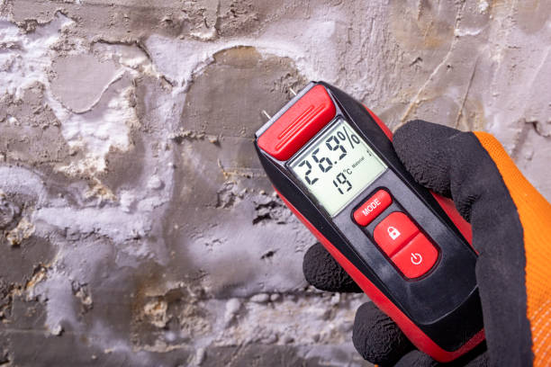 Best Mold Removal Company Near Me  in Heeia, HI